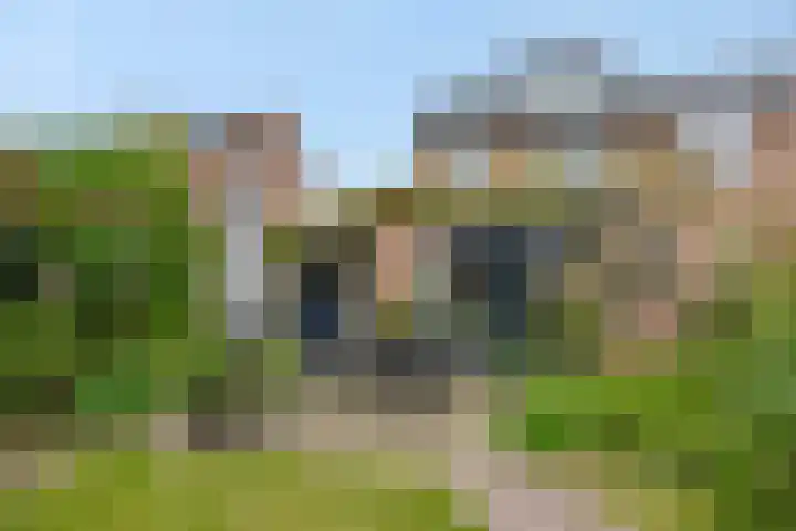 De Rogge 6 Heesch thumbnail 35