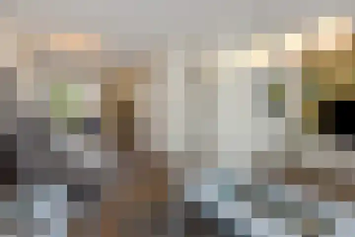 De Rogge 6 Heesch thumbnail 4