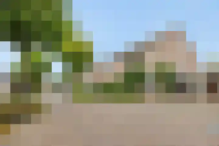 De Rogge 6 Heesch thumbnail 40