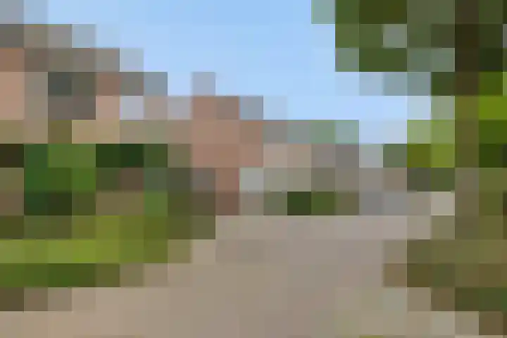 De Rogge 6 Heesch thumbnail 42