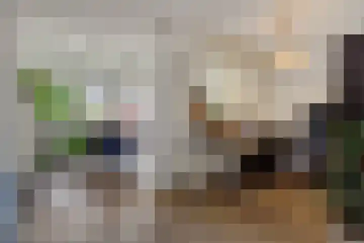 De Rogge 6 Heesch thumbnail 5