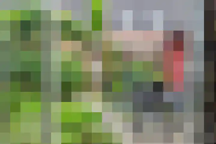 De Rogge 6 Heesch thumbnail 7