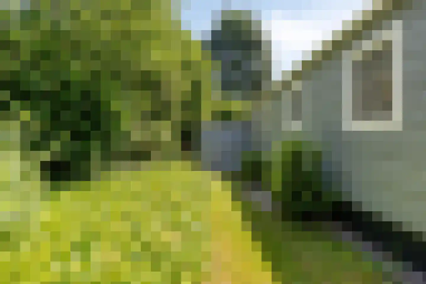 De Roggeberg 1 961 Appelscha thumbnail 23