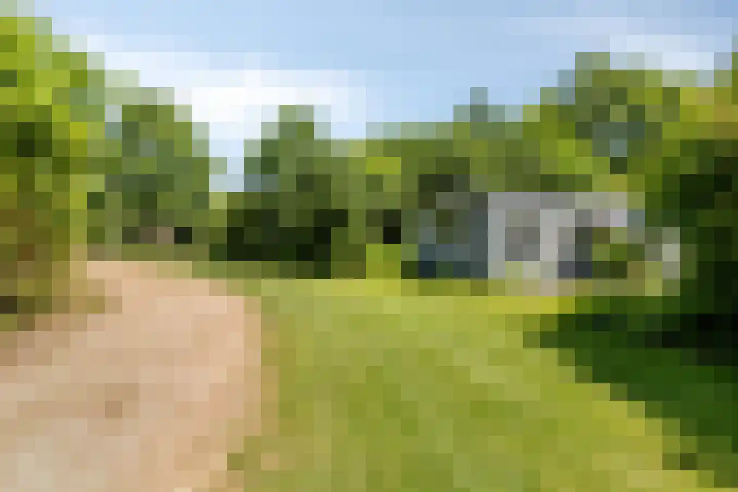 De Roggeberg 1 961 Appelscha thumbnail 5