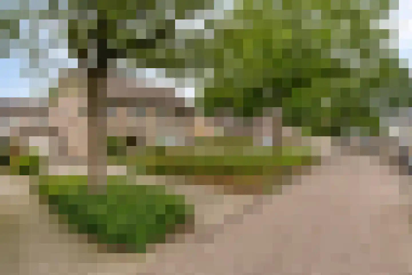 De Rolle 47 Vledder thumbnail 38