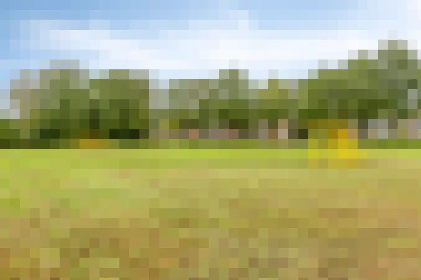 De Rolle 47 Vledder thumbnail 39