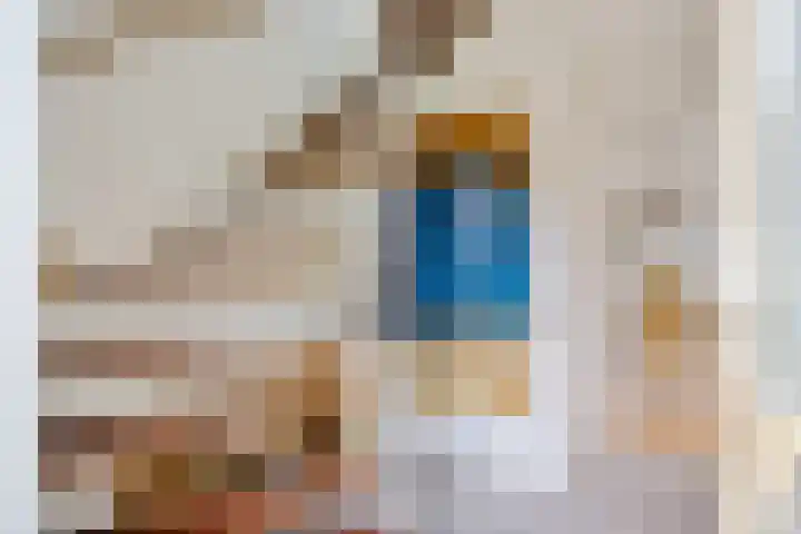 De Rolle 49 Vledder thumbnail 12