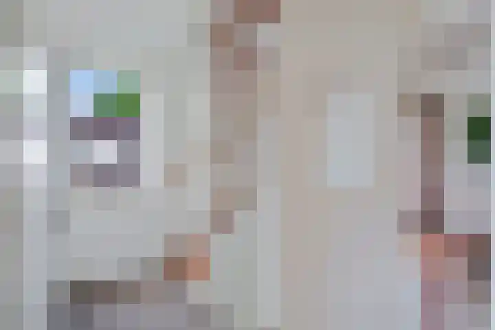 De Rolle 49 Vledder thumbnail 14