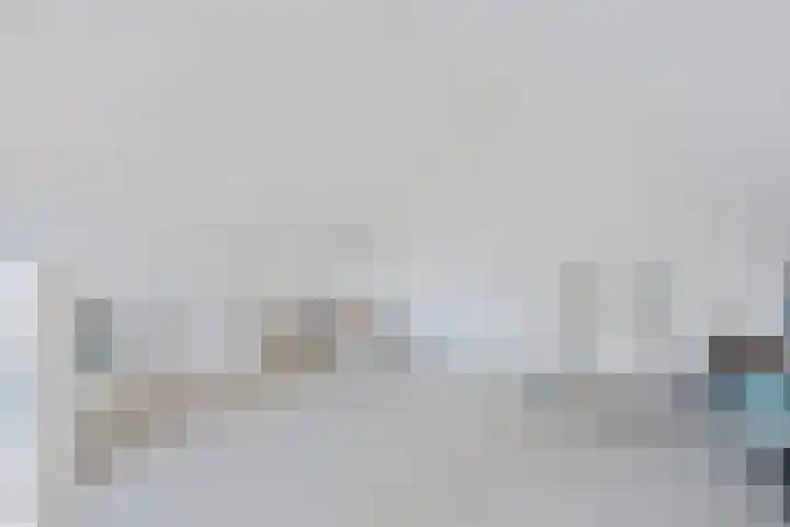 De Rolle 49 Vledder thumbnail 24