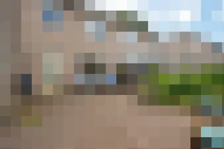 De Rolle 49 Vledder thumbnail 27