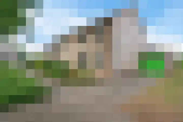 De Rolle 49 Vledder thumbnail 29