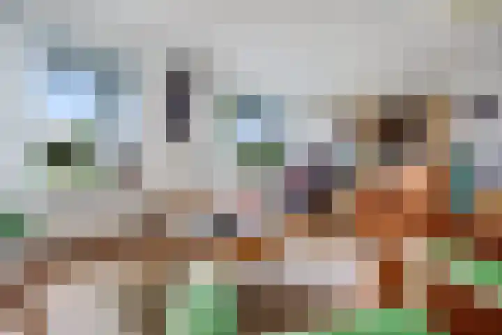 De Rolle 49 Vledder thumbnail 4