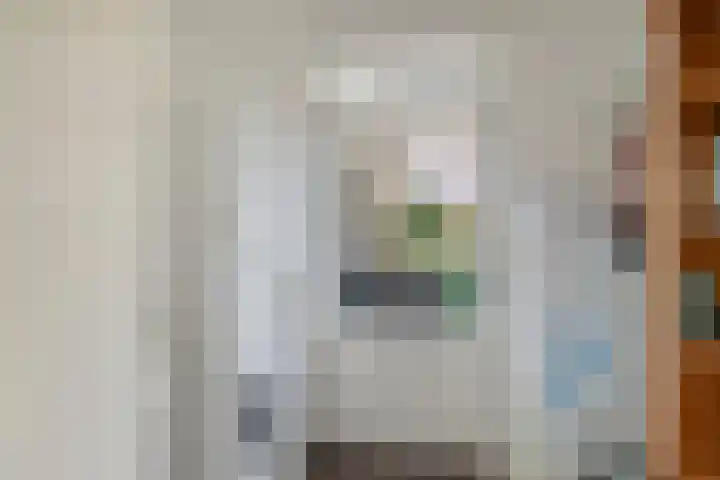 De Rolle 51 Vledder thumbnail 15