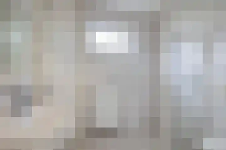 De Rolle 51 Vledder thumbnail 21