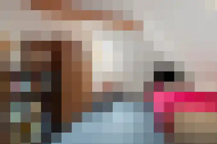 De Rolle 51 Vledder thumbnail 26