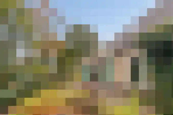 De Rolle 51 Vledder thumbnail 31