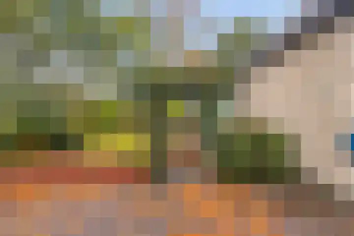 De Rolle 51 Vledder thumbnail 32