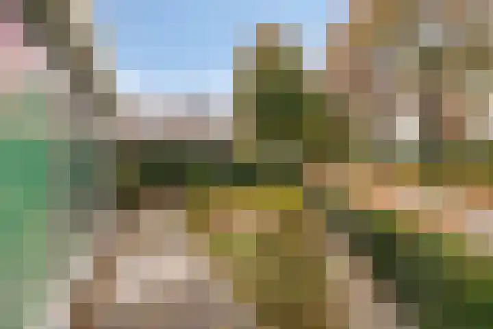 De Rolle 51 Vledder thumbnail 33