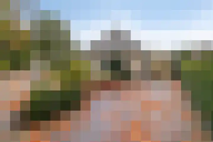 De Rolle 51 Vledder thumbnail 39
