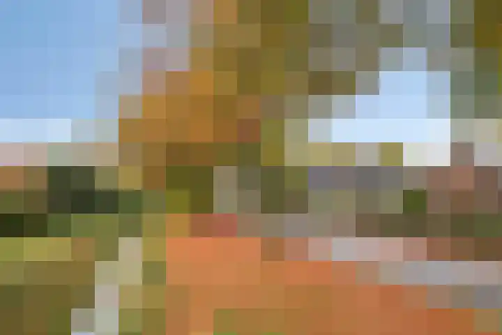 De Rolle 51 Vledder thumbnail 43