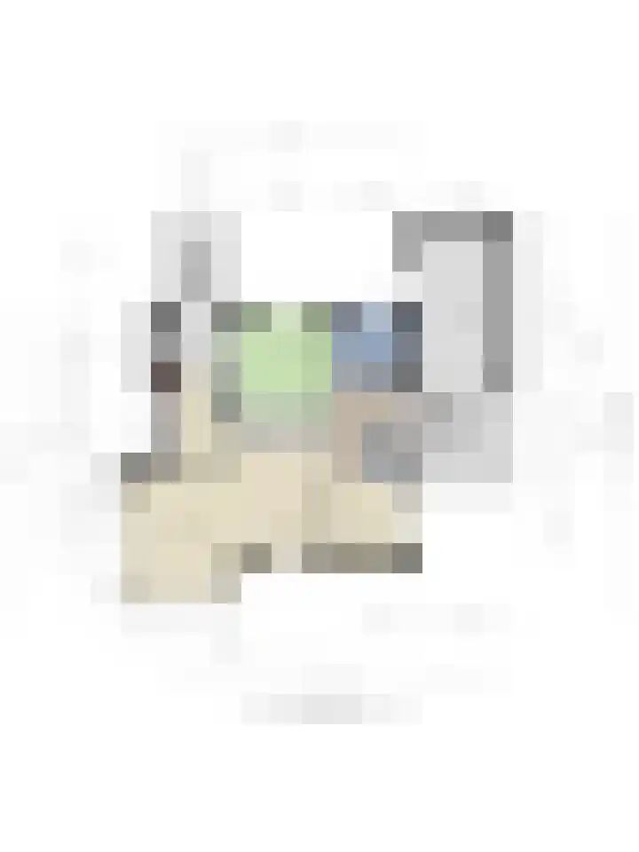 De Rolle 51 Vledder thumbnail 44