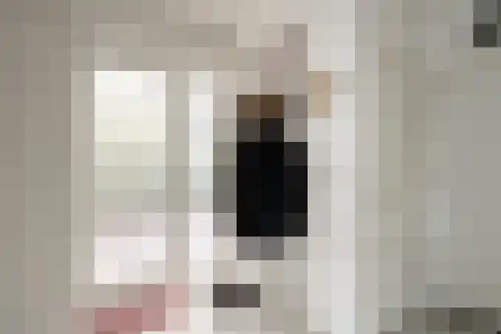 De Rolle 51 Vledder thumbnail 5