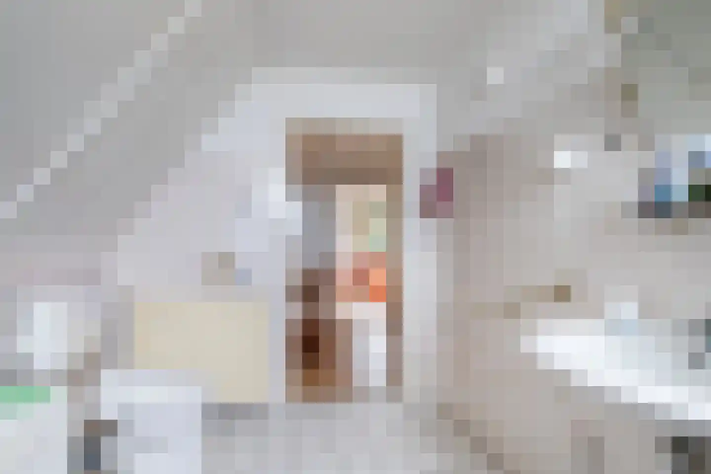 De Rombade 2 Ried thumbnail 20