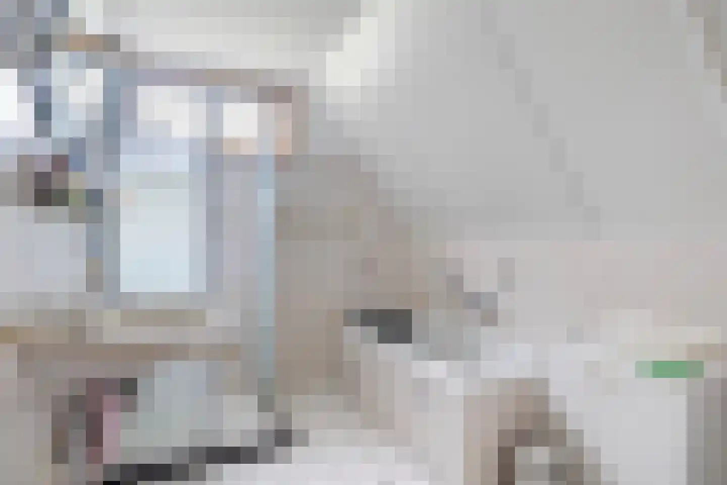 De Rombade 2 Ried thumbnail 21