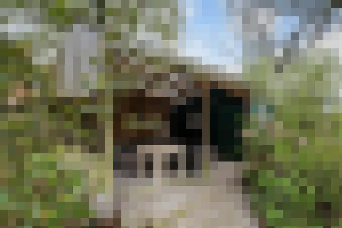De Rombade 2 Ried thumbnail 32