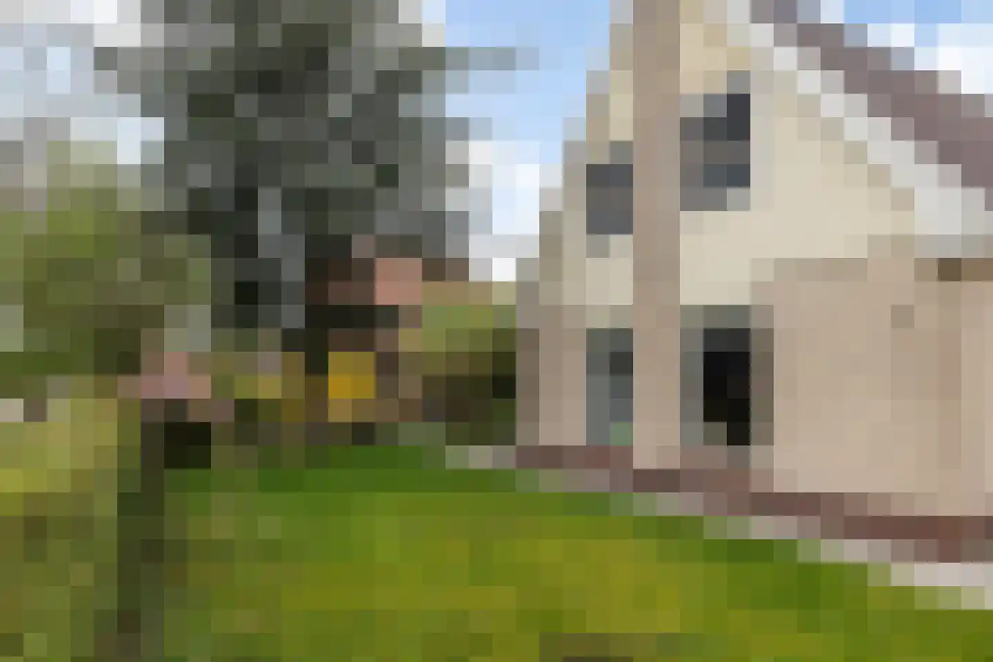 De Rombade 2 Ried thumbnail 33