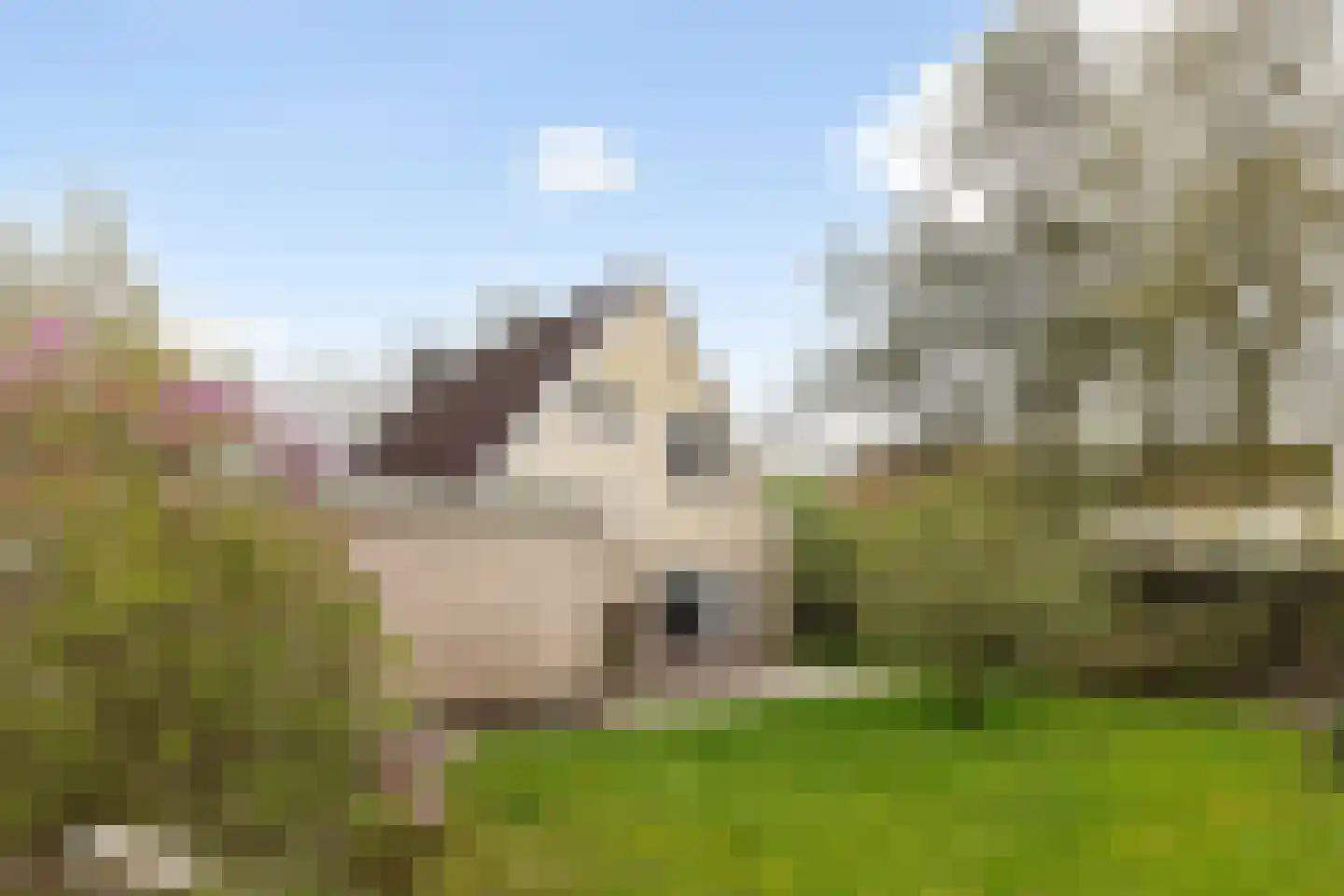 De Rombade 2 Ried thumbnail 34