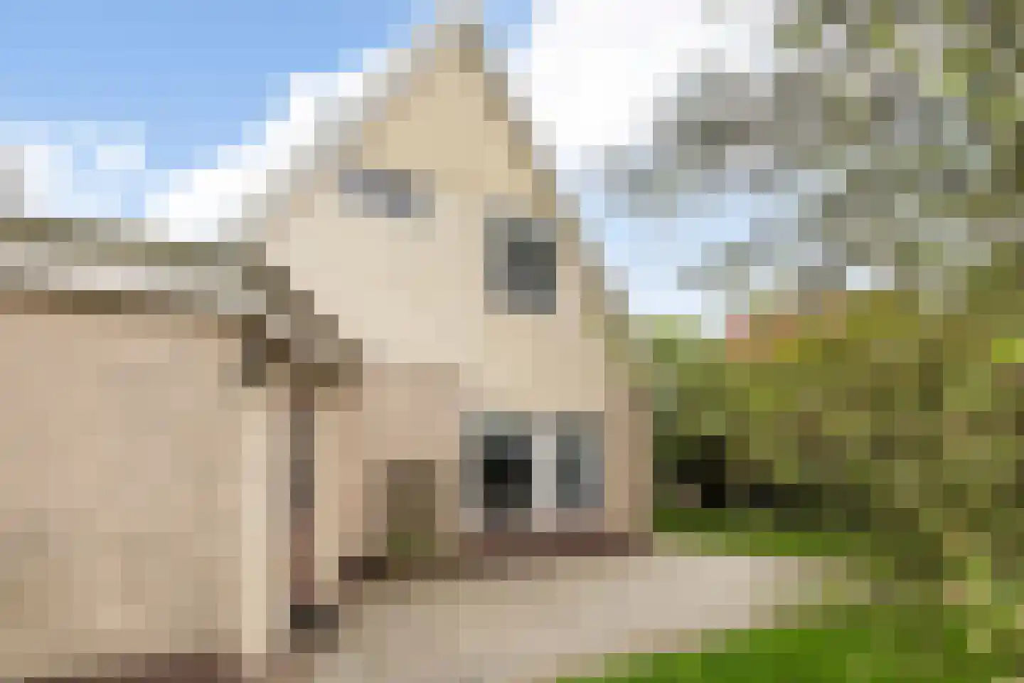 De Rombade 2 Ried thumbnail 35
