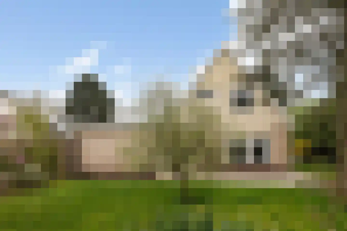 De Rombade 2 Ried thumbnail 36