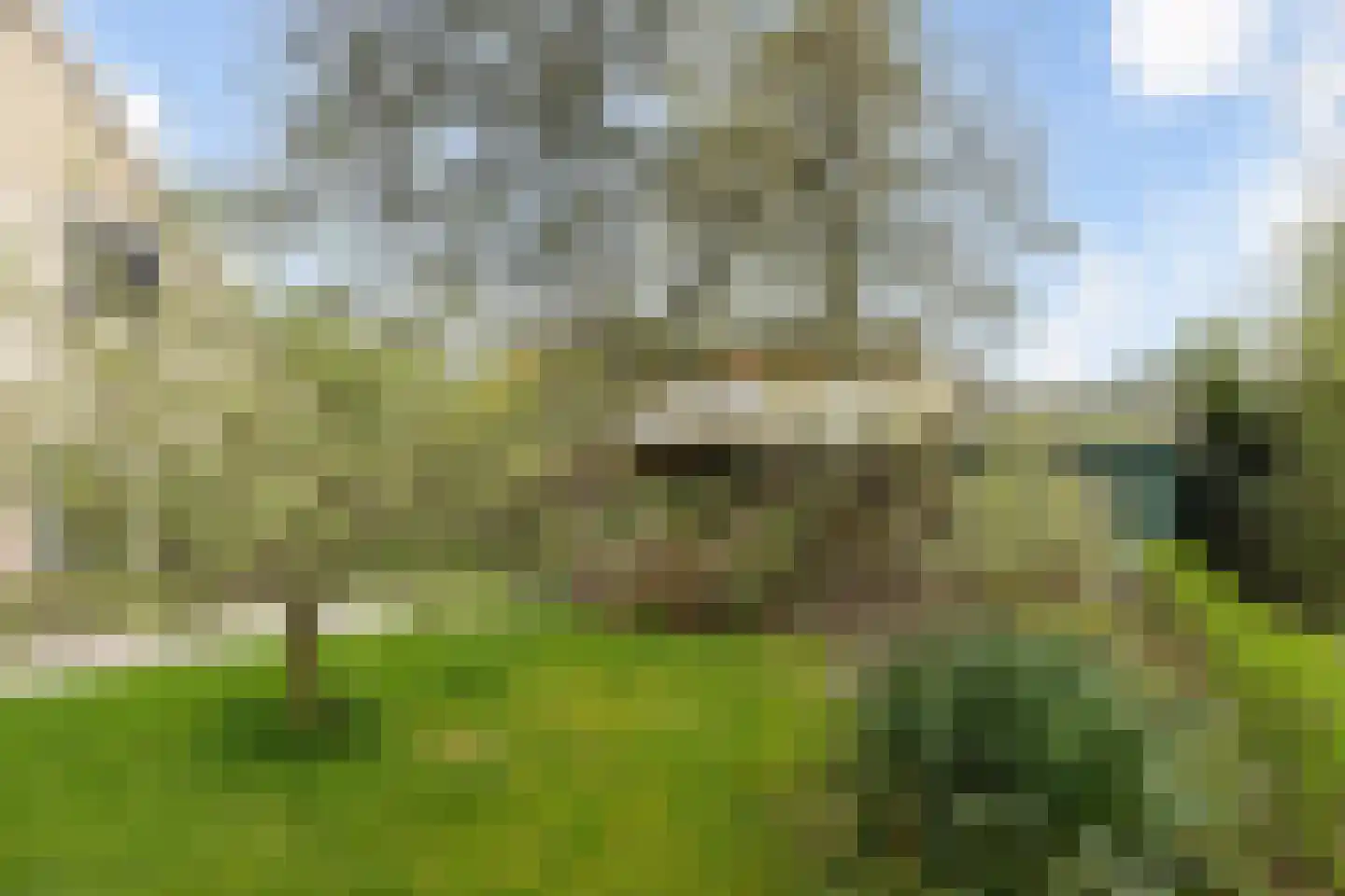 De Rombade 2 Ried thumbnail 38