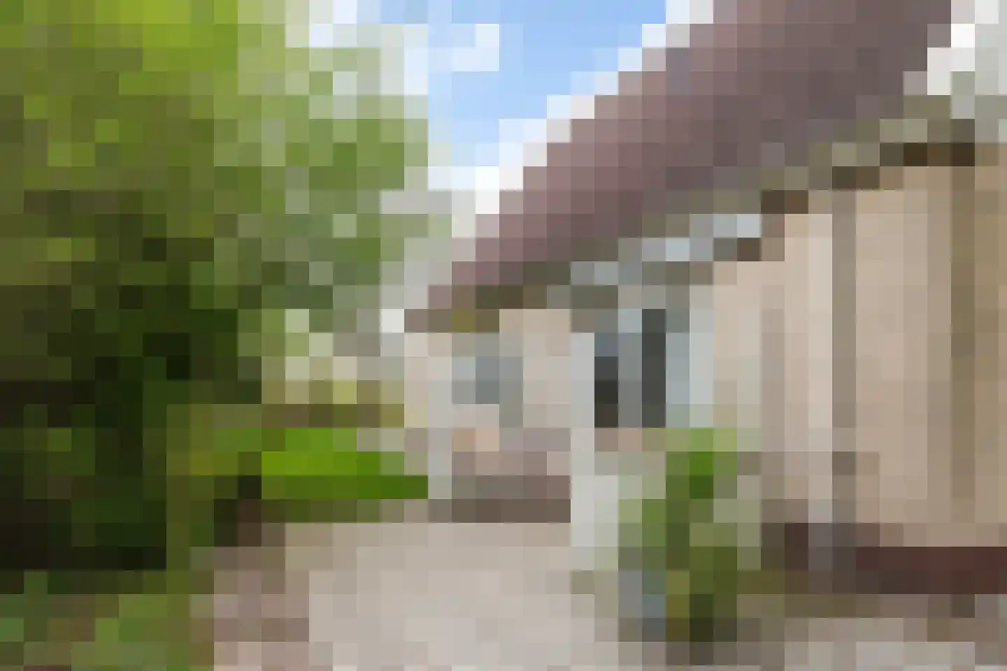 De Rombade 2 Ried thumbnail 39