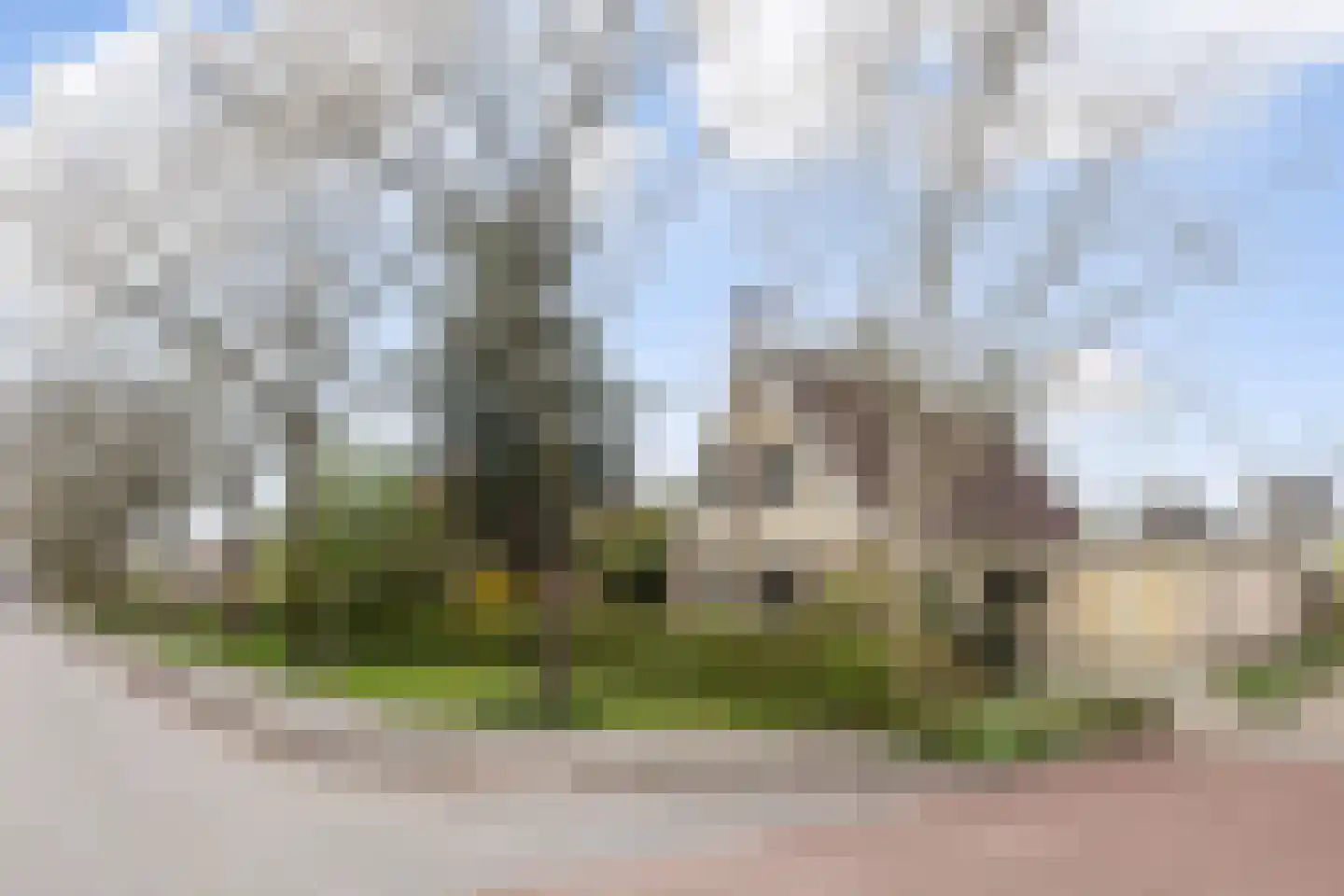 De Rombade 2 Ried thumbnail 4