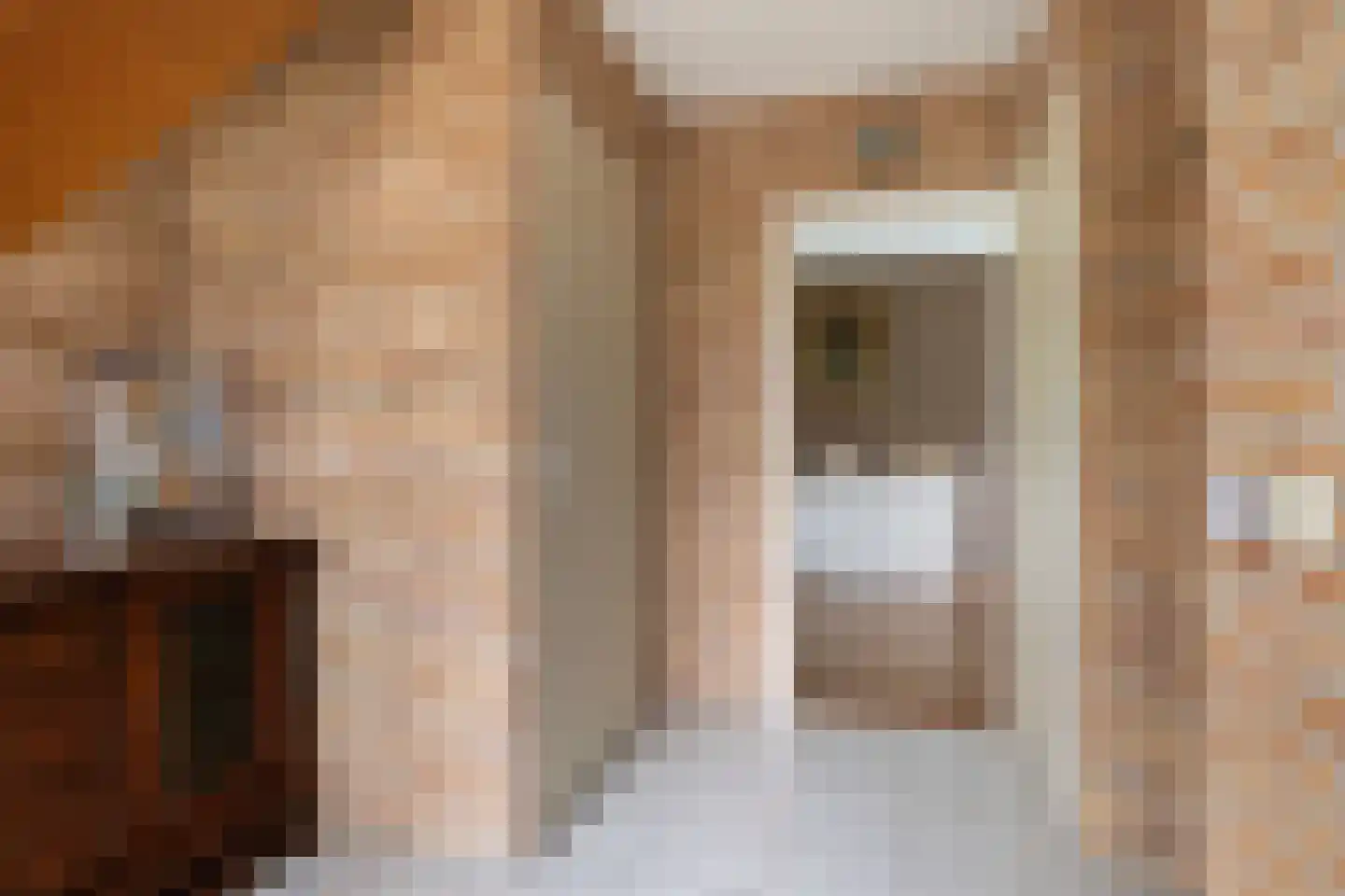 De Rombade 2 Ried thumbnail 6