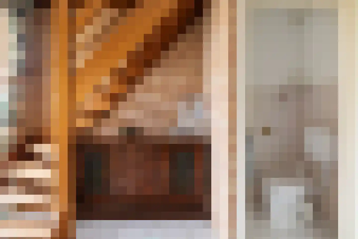 De Rombade 2 Ried thumbnail 8