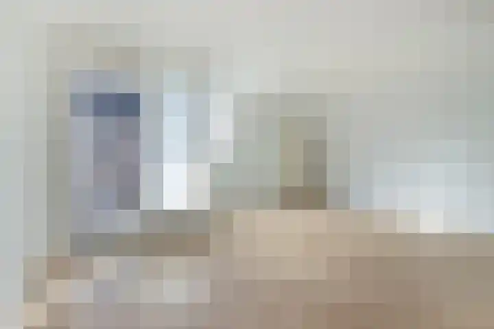De Romme 25 Berlicum thumbnail 10
