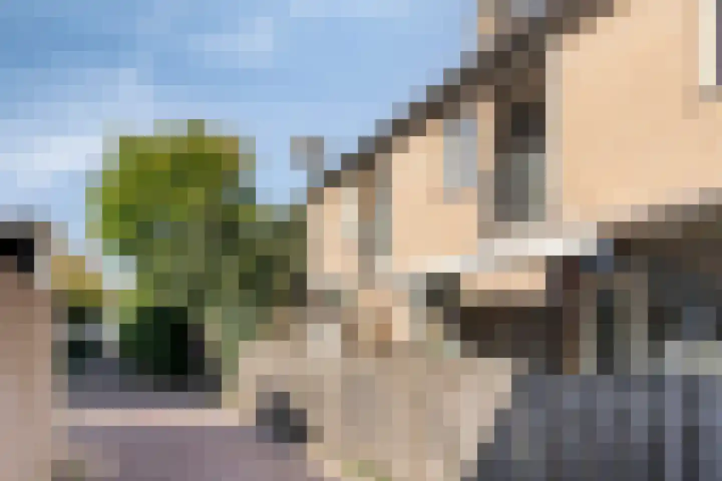 De Romme 25 Berlicum thumbnail 32