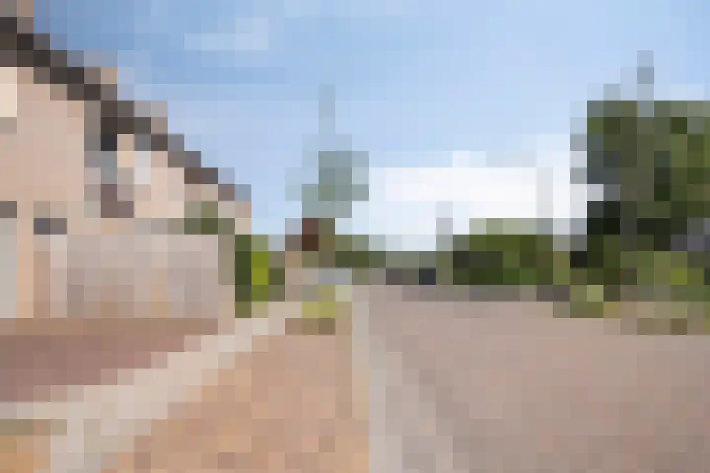 De Romme 25 Berlicum thumbnail 36