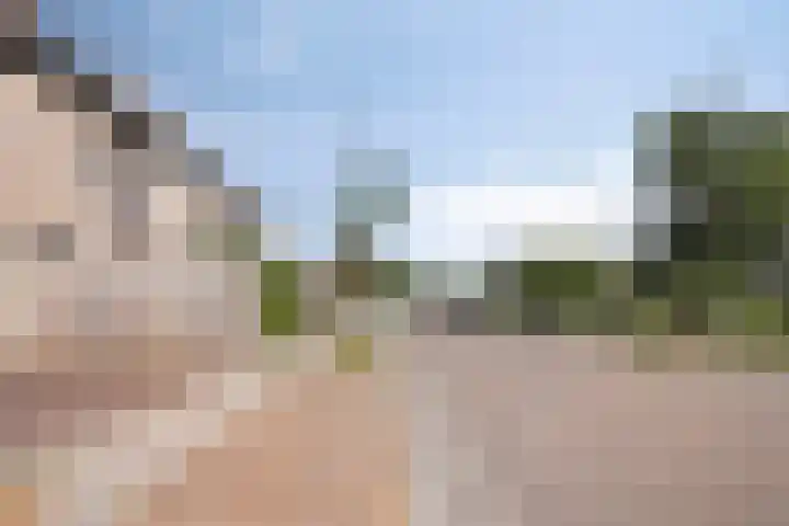 De Romme 25 Berlicum thumbnail 36