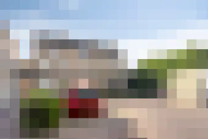 De Romme 25 Berlicum thumbnail 37