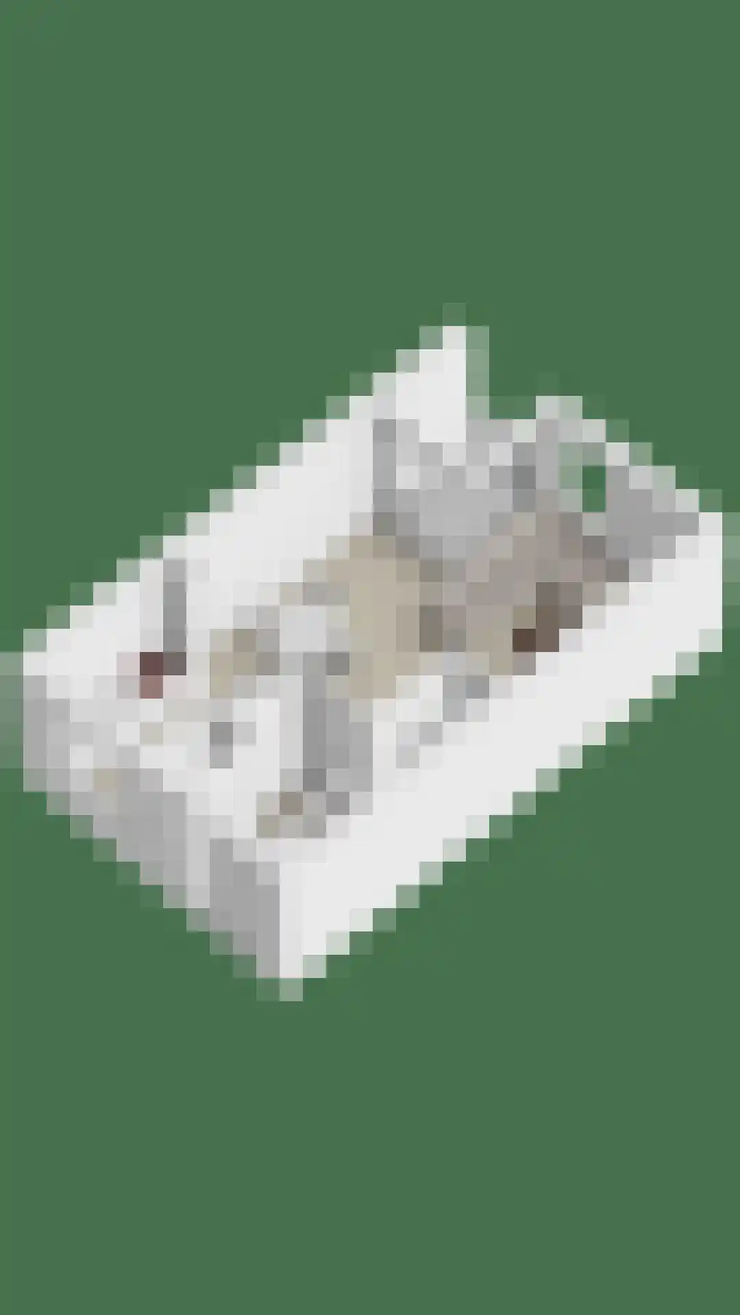 De Romme 25 Berlicum thumbnail 39