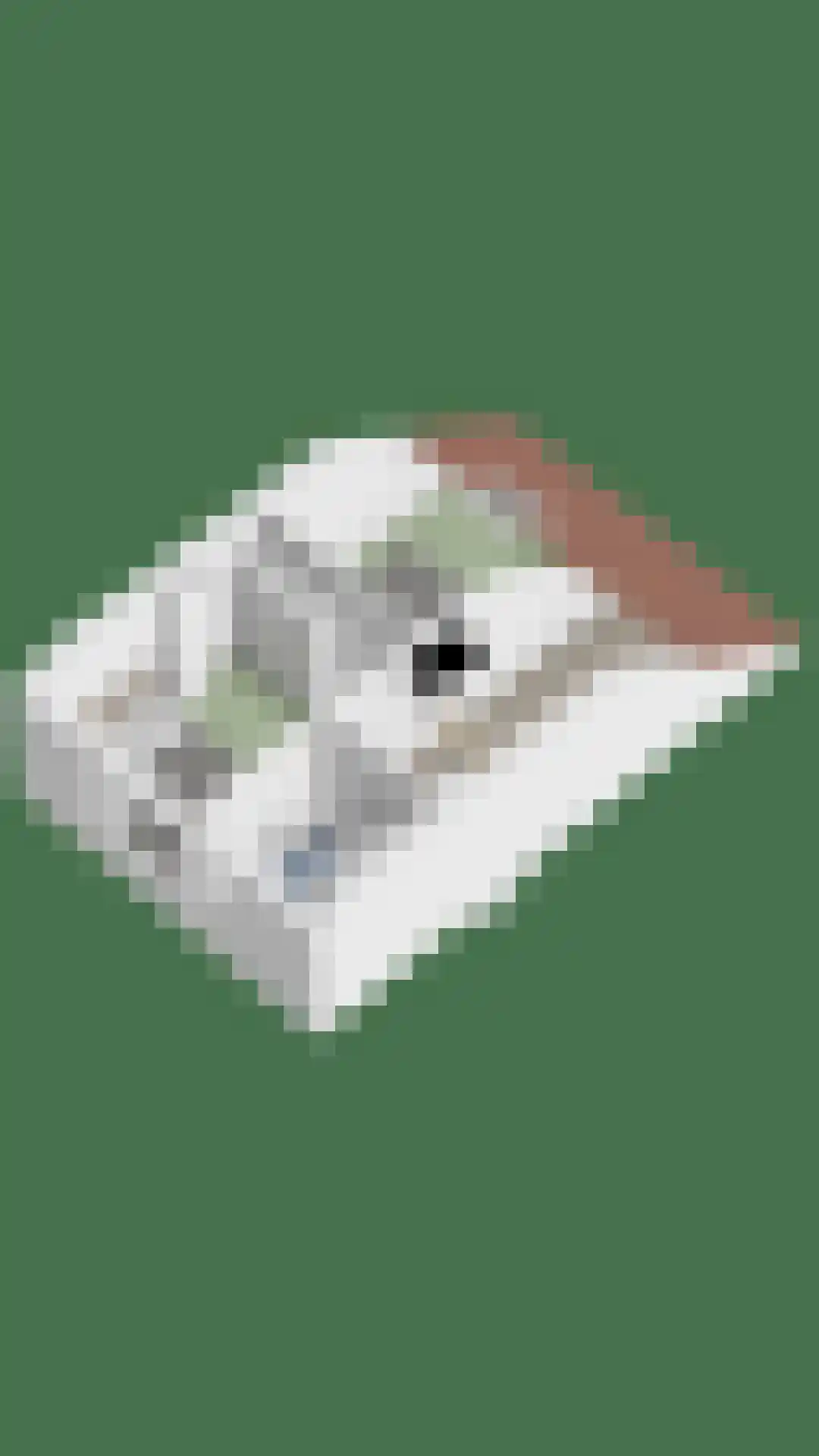 De Romme 25 Berlicum thumbnail 41