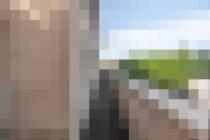 De Romme 25 Berlicum thumbnail 7