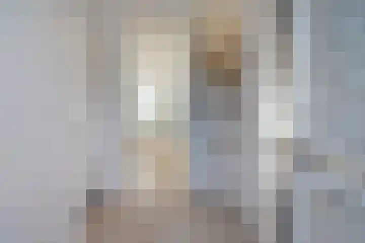 De Romme 25 Berlicum thumbnail 8