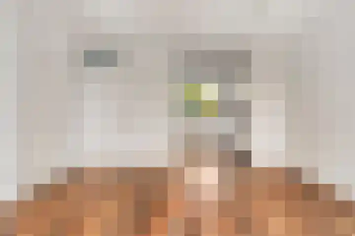 De Romme 6 Berlicum thumbnail 14
