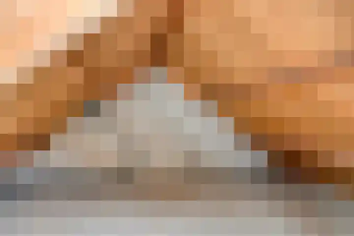 De Romme 6 Berlicum thumbnail 30