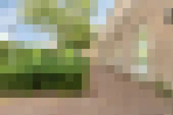 De Romme 6 Berlicum thumbnail 33